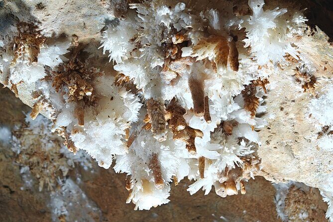 Private Tour to Gulong Canyon and Jinlong Cave from Guangzhou - Final Thoughts