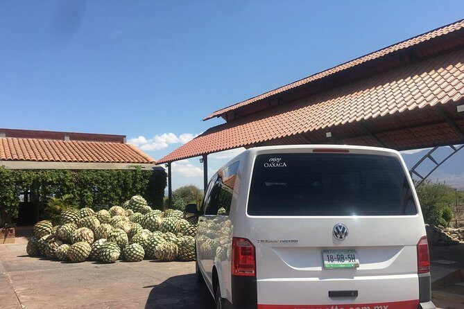 Private Tour to Hierve el Agua, Mezcal Tasting, and Textiles - The Sum Up