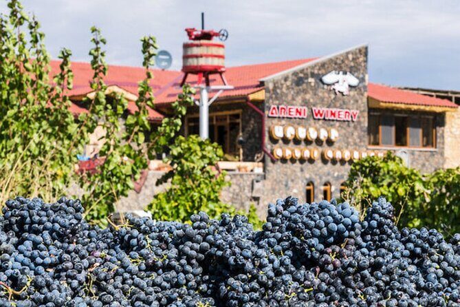 Private Tour to Khor Virap, ancient Areni cave or Areni winery, Noravank - Practical Aspects of the Tour