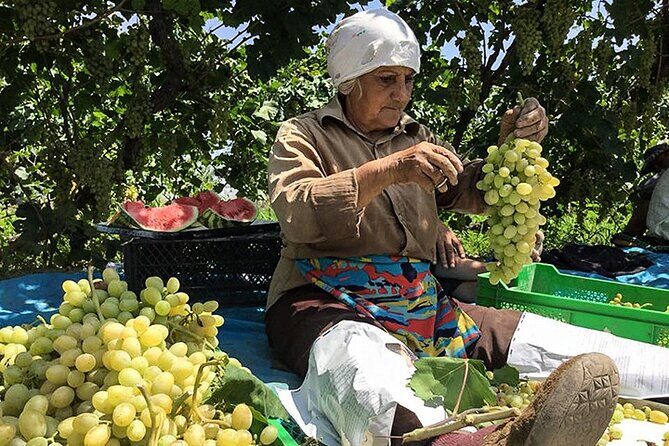 Private tour to Khor Virap, Ararat view - Who Is This Tour Best For?