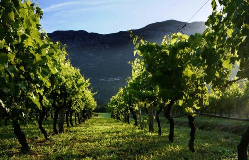 Private tour to Konavle valley with wine tasting - FAQ