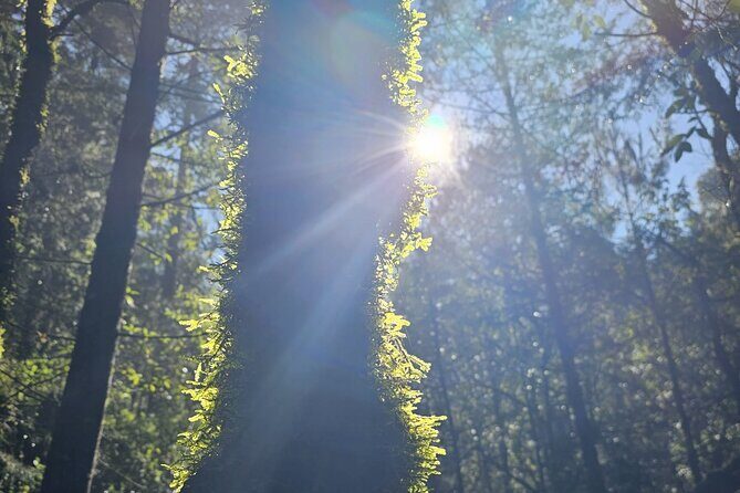 Private Tour to Los Diamantes Waterfall from CDMX - FAQ