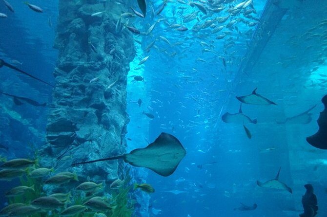 Private Tour to Lotte Tower, Aquarium and Lotte world Theme park - Visiting Seoul Sky at Lotte World Tower