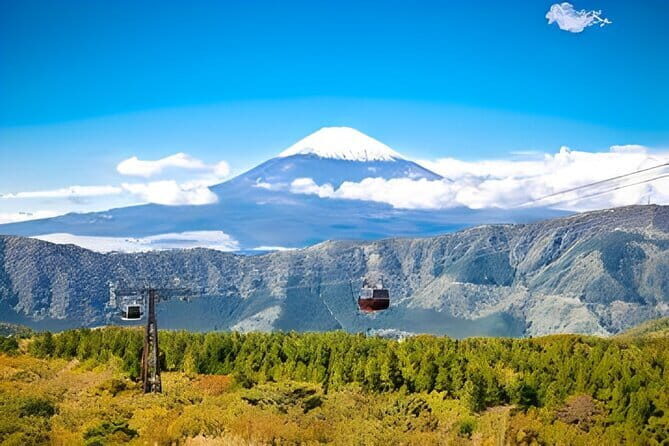 Private Tour to Mount Fuji & Hakone with English Speaking Guide - Key Points