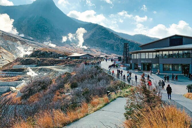 Private Tour to Mount Fuji & Hakone with English Speaking Guide - Who Would Love This Tour?