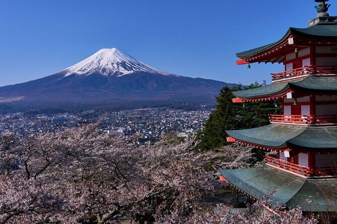 Private tour to Mount Fuji with an English driver from Tokyo - The Highlights of the Private Mount Fuji Tour