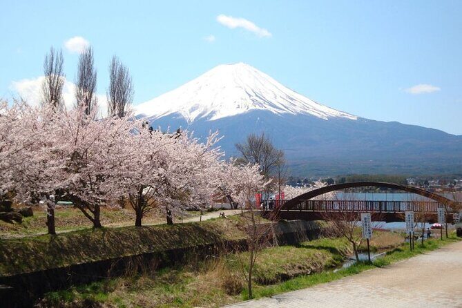 Private tour to Mount Fuji with an English driver from Tokyo - Stop 5: Chureito Pagoda