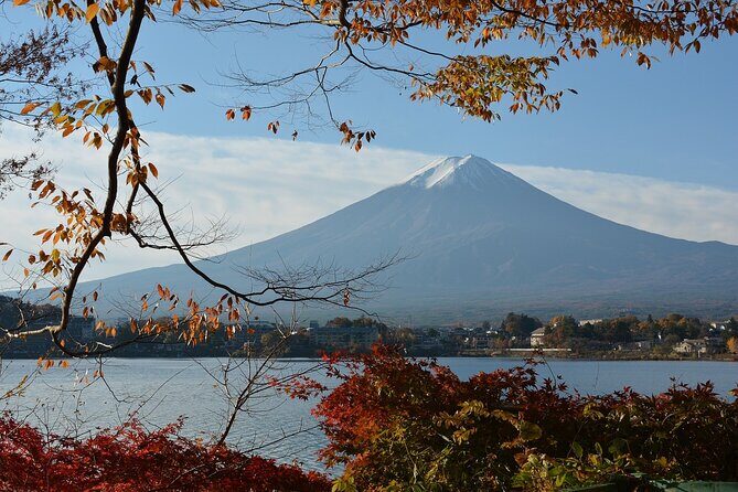 Private Tour to Mt Fuji and Hakone with English Speaking Driver - What’s the Real Value?