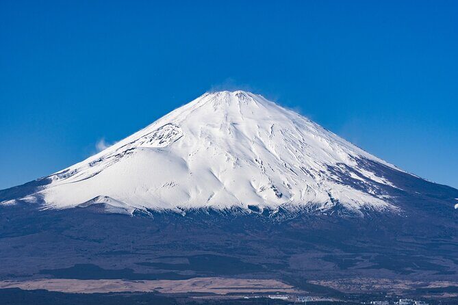 Private Tour to Mt Fuji, Lake Kawaguchi with Limousine and Driver - A Deep Dive Into the Experience