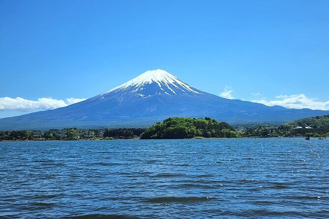 Private Tour to Mt Fuji, Lake Kawaguchi with Limousine and Driver - Price and Value Analysis