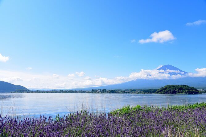 Private Tour to Mt Fuji, Lake Kawaguchi with Limousine and Driver - Final Thoughts