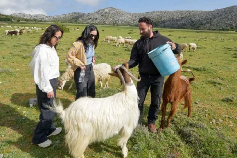 Private Tour to Myrtos Beach & Shepherd visit - FAQ