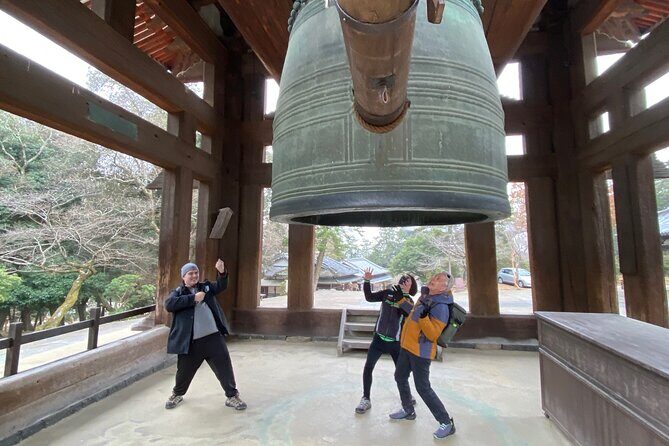Private Tour to Nara from Osaka with English speaking Driver - Practical Aspects