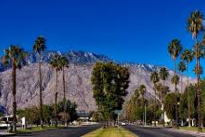 Private tour to Palm Springs from Los Angeles - Who Will Enjoy This Tour?
