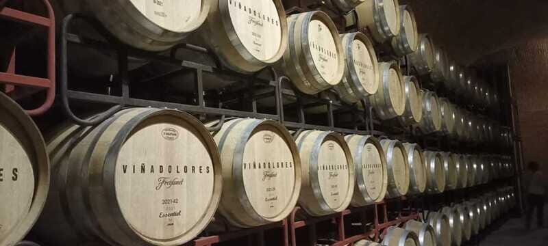 Private tour to Peña de Bernal & Freixenet Winery from CDMX - Visiting Freixenet Winery