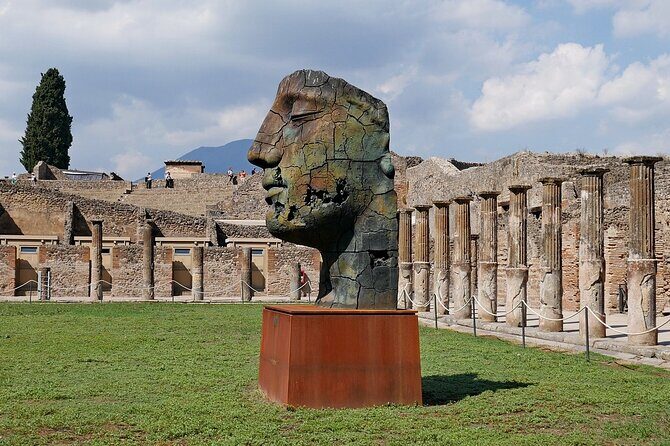 Private tour to Pompeii from Rome: Driver and guide in Pompeii (tickets inc) - Key Points