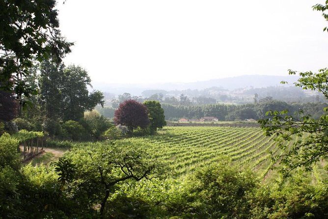 Private tour to Ponte de Lima, Vinho Verde region - A Deep Dive into the Experience