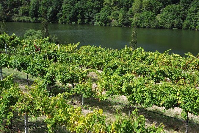 Private tour to Ponte de Lima, Vinho Verde region - FAQ