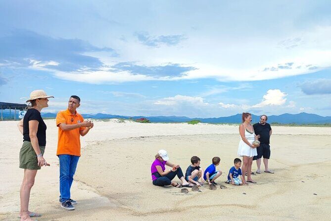 Private tour to release turtles with tickets included - An In-Depth Look at the Tour Experience