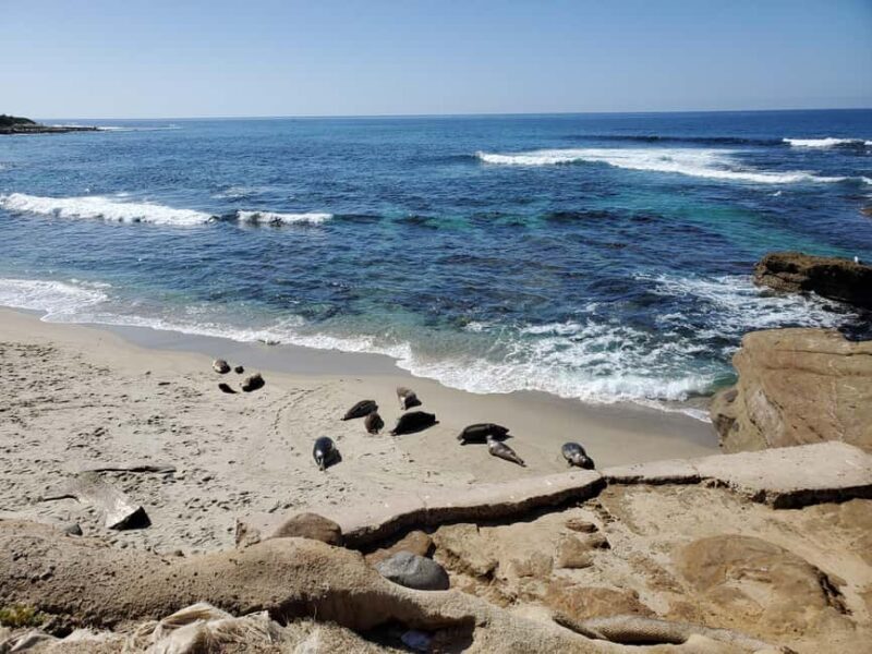 Private tour to San Diego from Los Angeles - What’s Not Included