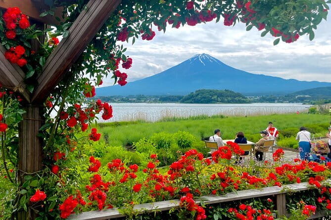 Private Tour to Snow Monkey, Zenkoji Temple & Hot Springs Nagano - Price & Value