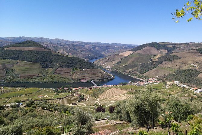 Private Tour to stunning Douro Valley and most renowned wineries - An In-Depth Look at the Douro Valley Private Tour