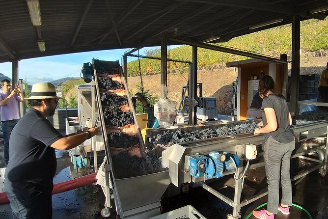Private Tour to stunning Douro Valley and most renowned wineries - Final Thoughts