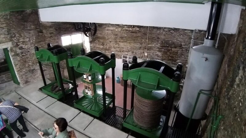 Private Tour to stunning Douro Valley and renowned wineries - Discovering the Douro Valley: An In-Depth Review