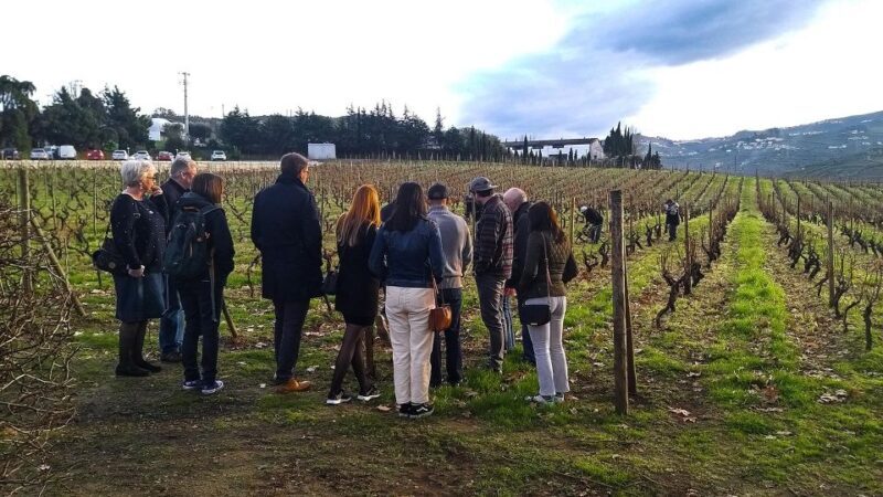 Private Tour to stunning Douro Valley and renowned wineries - FAQ