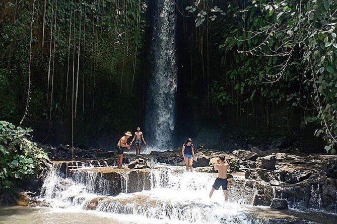 Private Tour to Sumampan Waterfall, Monkey forest, Rice terraces and Swing - Ceking Rice Terrace: Bali’s Iconic Green Landscape