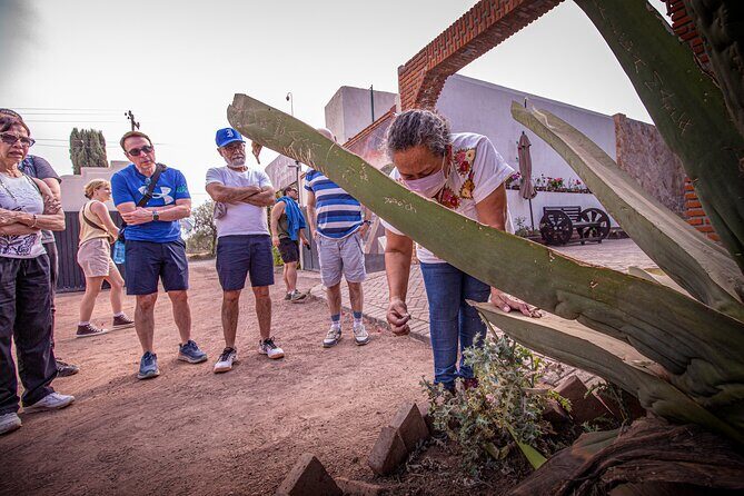 Private Tour to Teotihuacán and the Basilica of Guadalupe - Final Recommendations