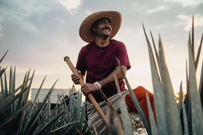 Private Tour to Tequila Ocho Distillery and the Town of Arandas - Private Tour to Tequila Ocho Distillery and the Town of Arandas