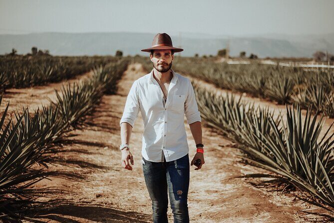 Private Tour to Tequila with tasting, liquors and visits. - Who Will Love This Tour?