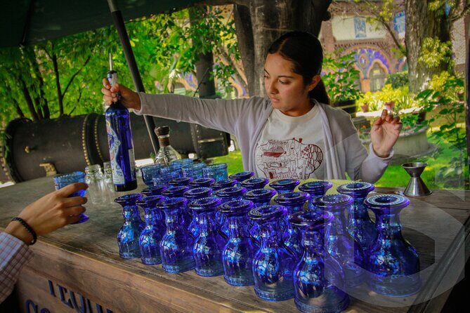 Private Tour to Tequilera Corralejo and Piramides Zone - Who Should Consider This Tour?