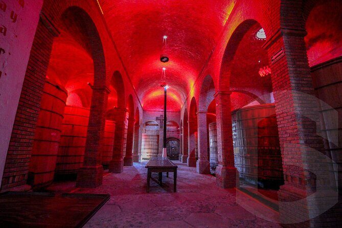 Private Tour to Tequilera Corralejo and Piramides Zone - Final Thoughts