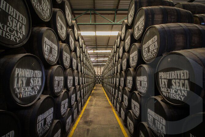 Private Tour to Tequilera Corralejo and Piramides Zone - FAQ