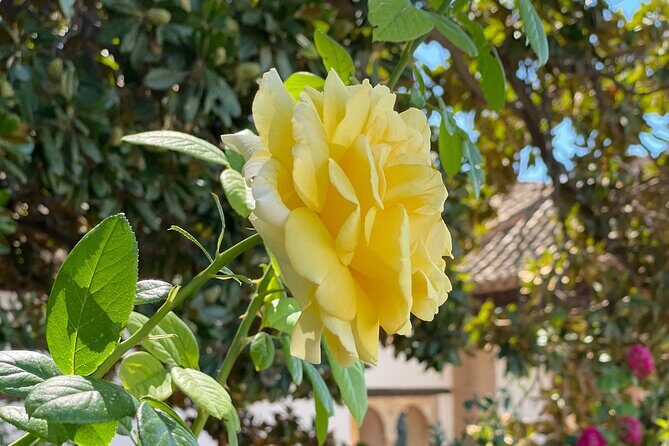 Private Tour to The Alhambra and Generalife from Motril port - Final Thoughts