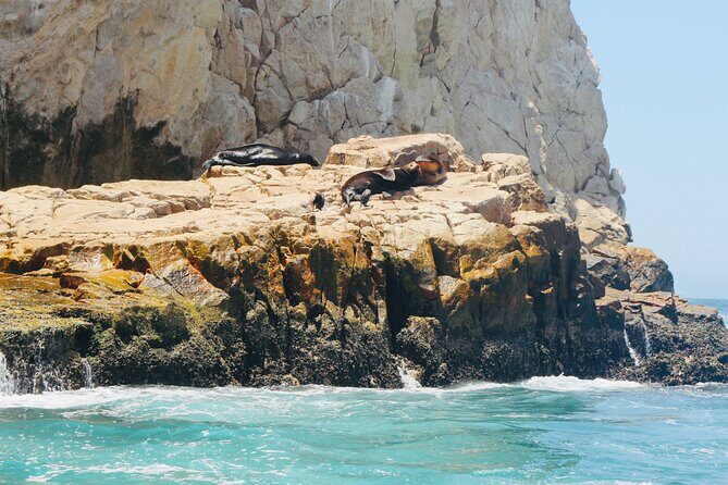 Private Tour to the Arch of Cabo San Lucas by Glass Bottom Boat - FAQ