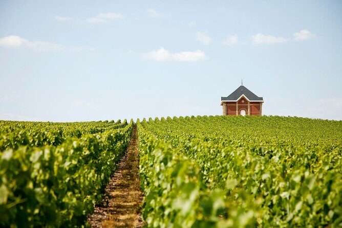 Private Tour to the best Champagne Wineries from Paris - Key Points