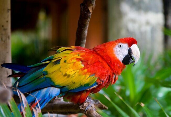 Private Tour to The Best of Animal Attractions in Kuala Lumpur - Key Points