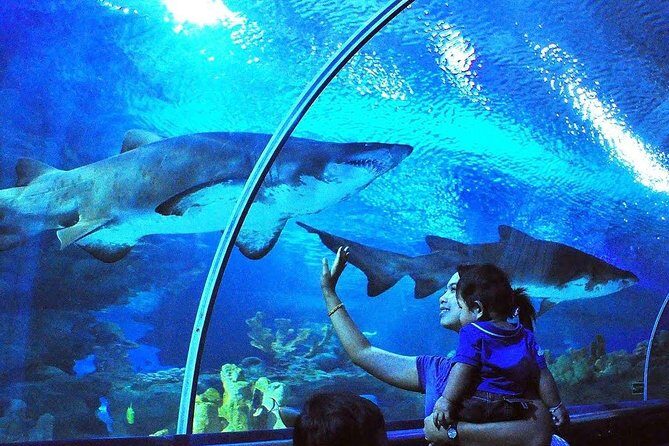 Private Tour to The Best of Animal Attractions in Kuala Lumpur - An In-Depth Look at the Itinerary