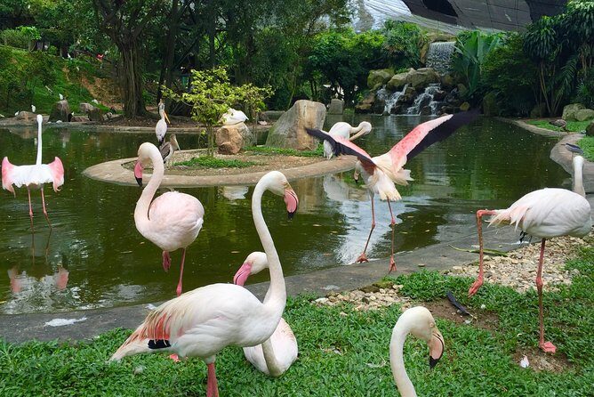 Private Tour to The Best of Animal Attractions in Kuala Lumpur - The Sum Up: Who Will Love This Tour?