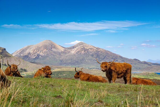Private Tour to the Famous Glenfinnan, Glencoe & More, Inverness - Final Thoughts