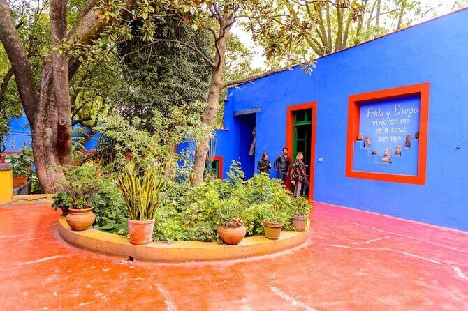 Private Tour to the Frida Kahlo Museum - Who Will Love This Experience?