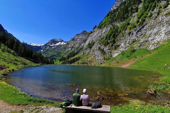 Private tour to the most breathtaking insider spots in Switzerland (1 day) - An Honest Look at the Itinerary