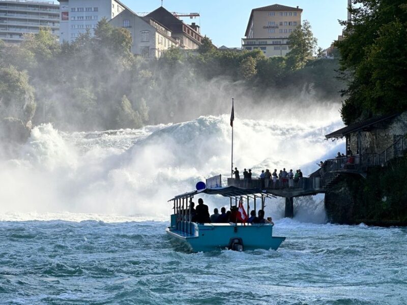 Private Tour to the Rhine Falls with Pick-up at the Hotel - Who Is This Tour Best Suited For?