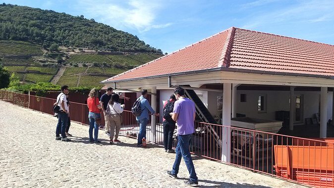 Private Tour to the rock art of Côa Park, Pinhão and Winery - An In-Depth Look at the Tour Experience