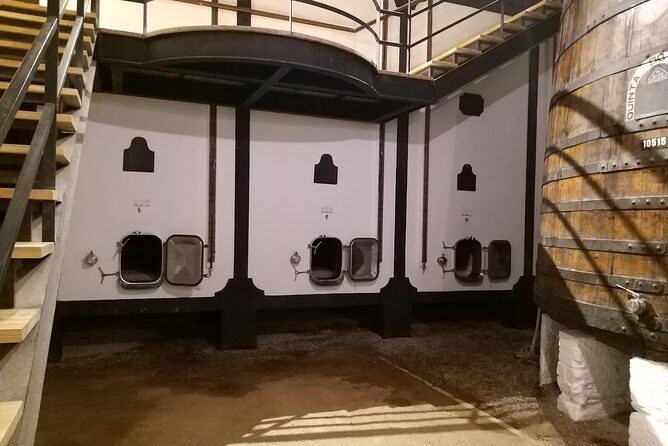 Private Tour to the rock art of Côa Park, Pinhão and Winery - What Reviewers Say