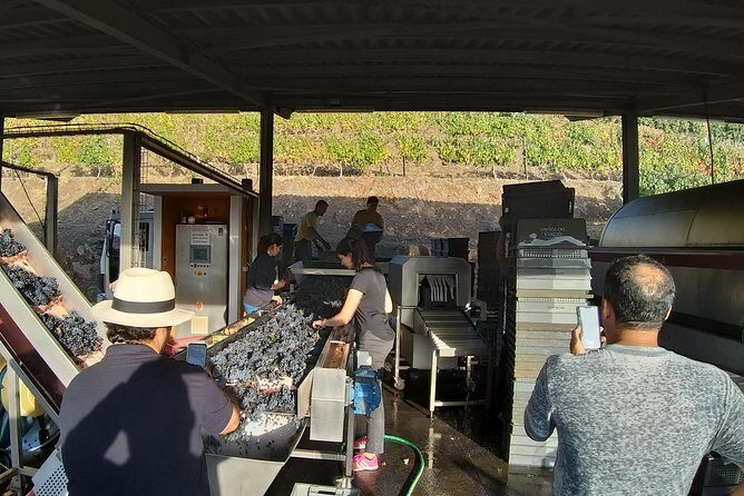 Private Tour to the rock art of Côa Park, Pinhão and Winery - Final Thoughts: Who Is This Tour For?