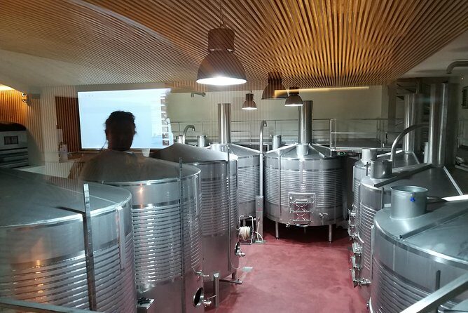 Private Tour to the rock art of Côa Park, Pinhão and Winery - FAQ